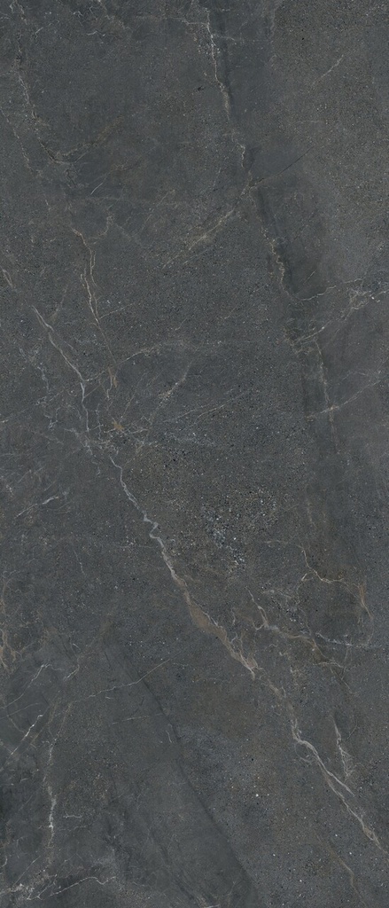 LEA176 Anthology Dark Matt 120x278 6mm - Swatch 4.jpg