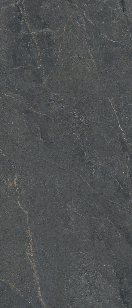 LEA176 Anthology Dark Matt 120x278 6mm - Swatch 2.jpg