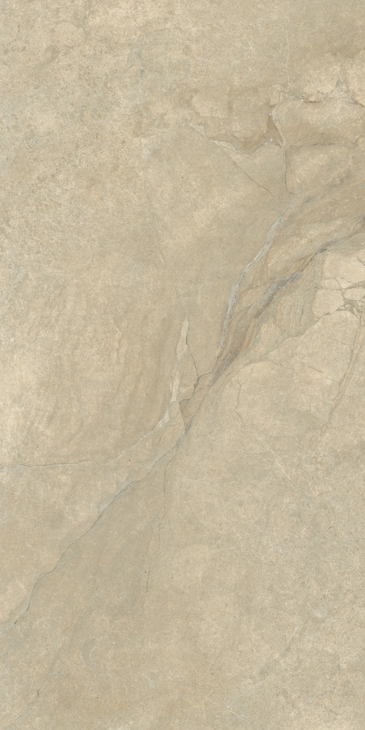 LEA171 Anthology Desert Worn 60x120 - Swatch 1.jpg