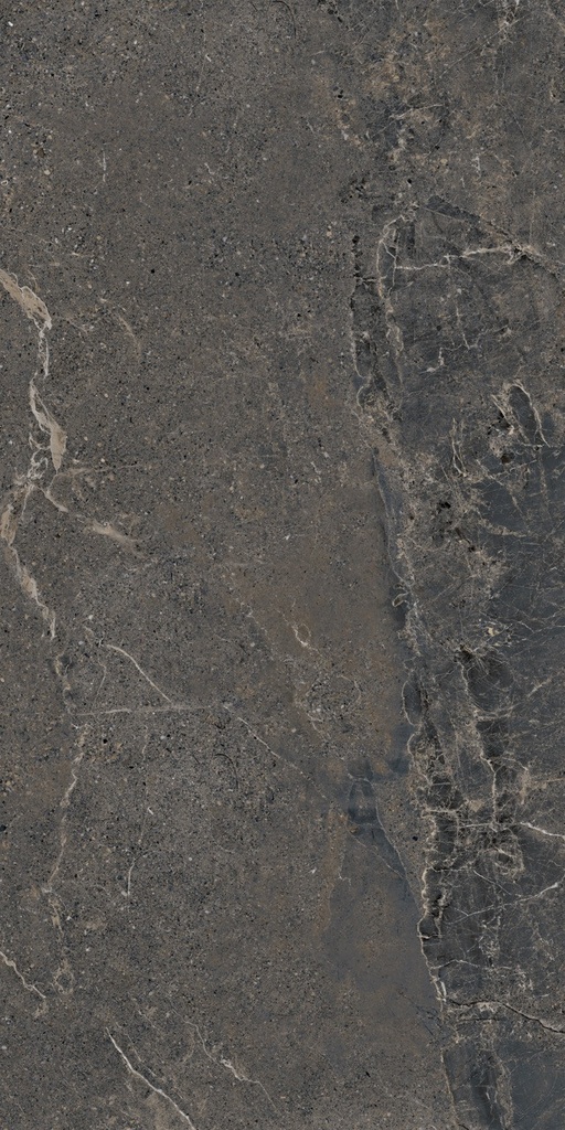 LEA159 Anthology Dark Grip 60x120 - Swatch 1.jpg