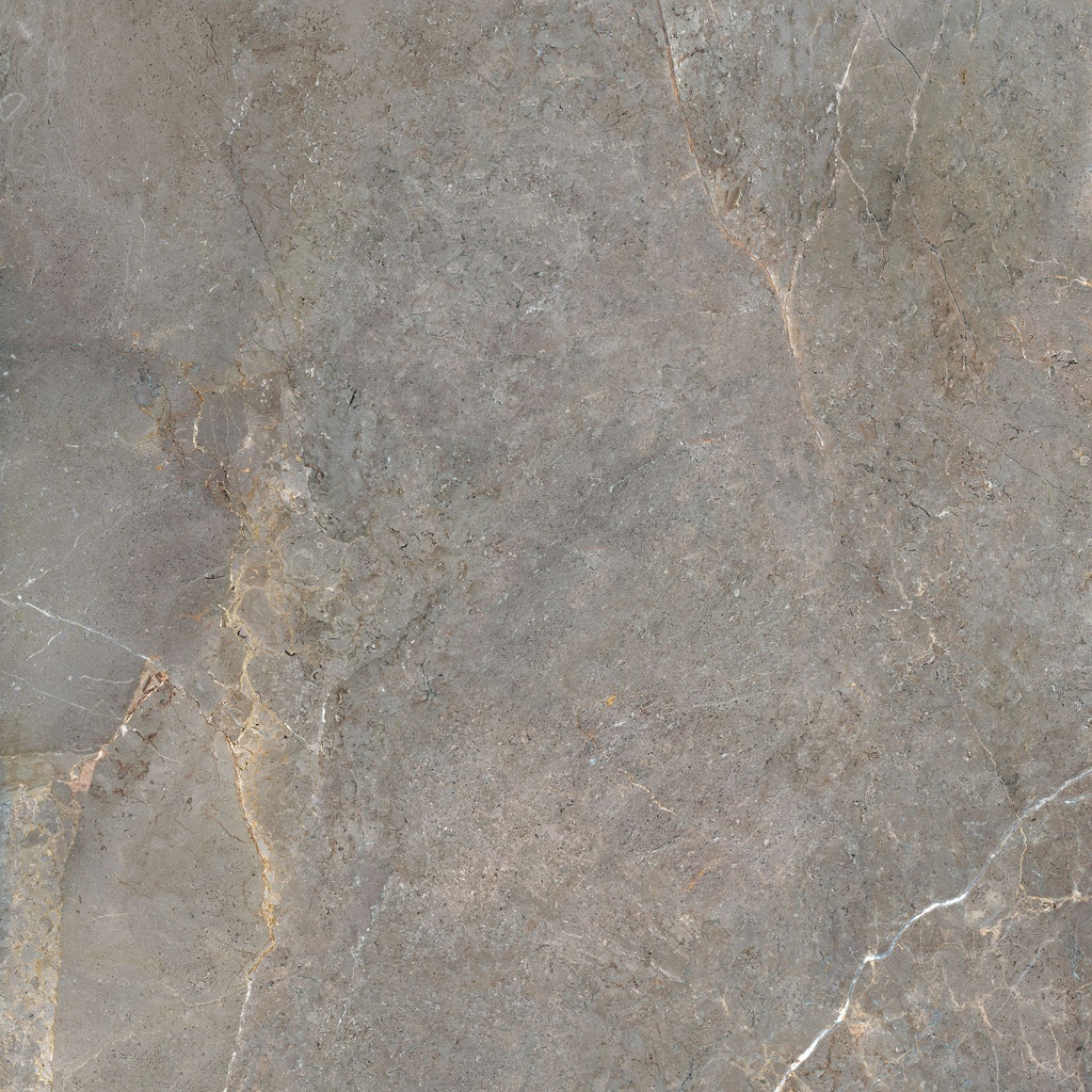 LEA157 Anthology Earth Grip 60x120 - Swatch 2.jpg