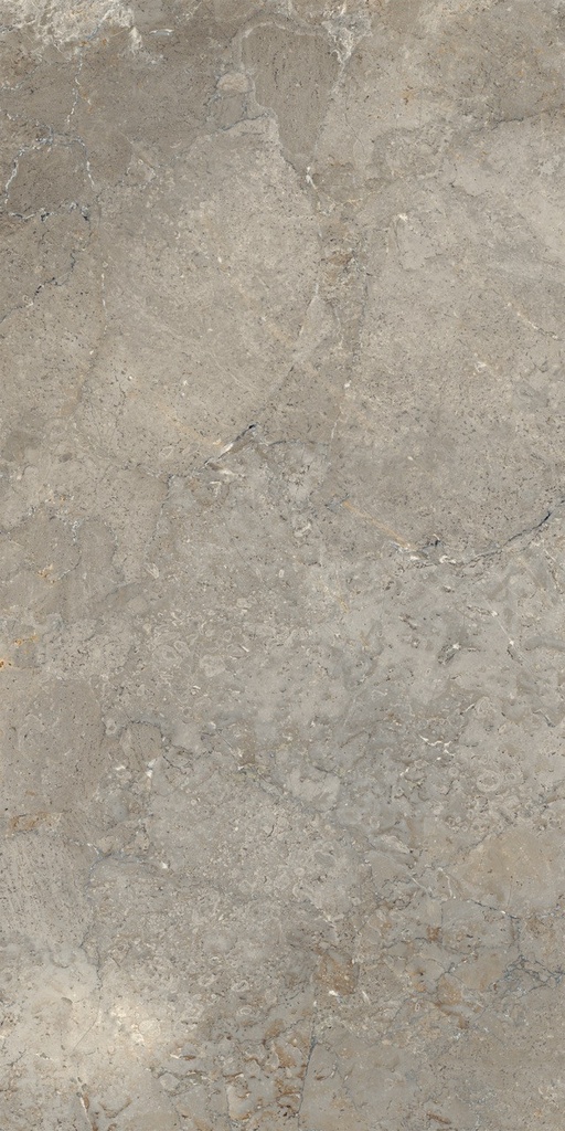 LEA157 Anthology Earth Grip 60x120 - Swatch 1.jpg