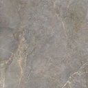 LEA156 Anthology Earth Worn 60x120 - Swatch 2.jpg