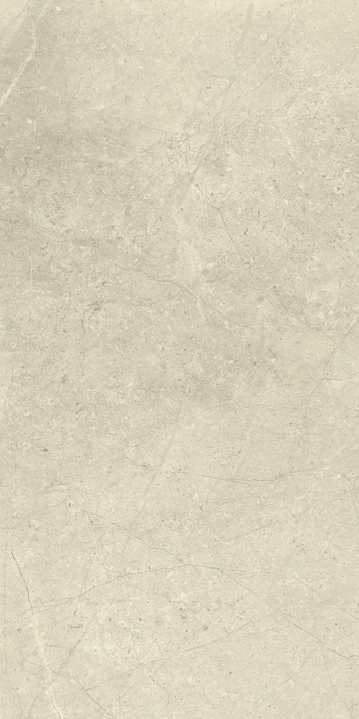 LEA154 Anthology White Worn 60x120 - Swatch 1.jpg