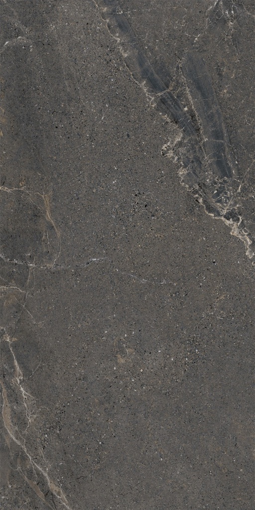 LEA158 Anthology Dark Worn 60x120 - Swatch 1.jpg