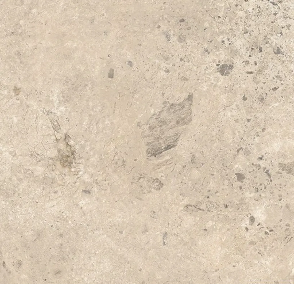 SOLASAN60 - Solara Sand 600x600mm - Swatch.webp