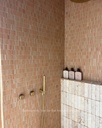 ACA037 Kreuz Terracotta Matt Finger Mosaic 10x48mm - Bathroom 8.jpg