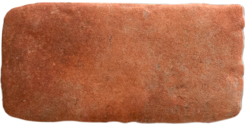 CERL010 - Benisa Cotto Natural 113x226  - Swatch.png