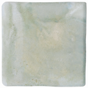 WOW018 Aqua Green Gecko 11x11 - Swatch 11.png