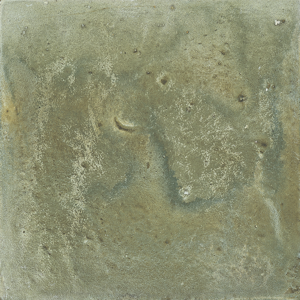 WOW018 Aqua Green Gecko 11x11 - Swatch 2.png