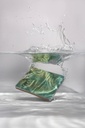 WOW018 Aqua Green Gecko 11x11 - Underwater.jpg