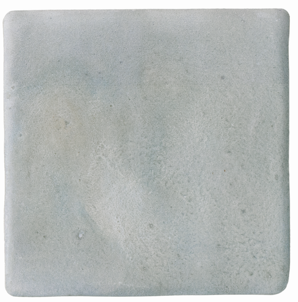 WOW017 Aqua Grey Gecko 11x11 - Swatch 14.png