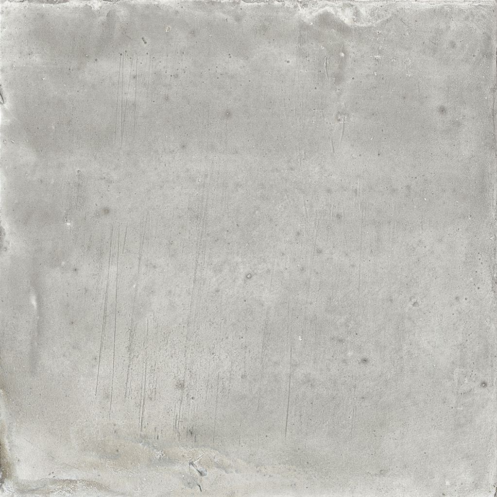 WOW017 Aqua Grey Gecko 11x11 - Swatch 1.png