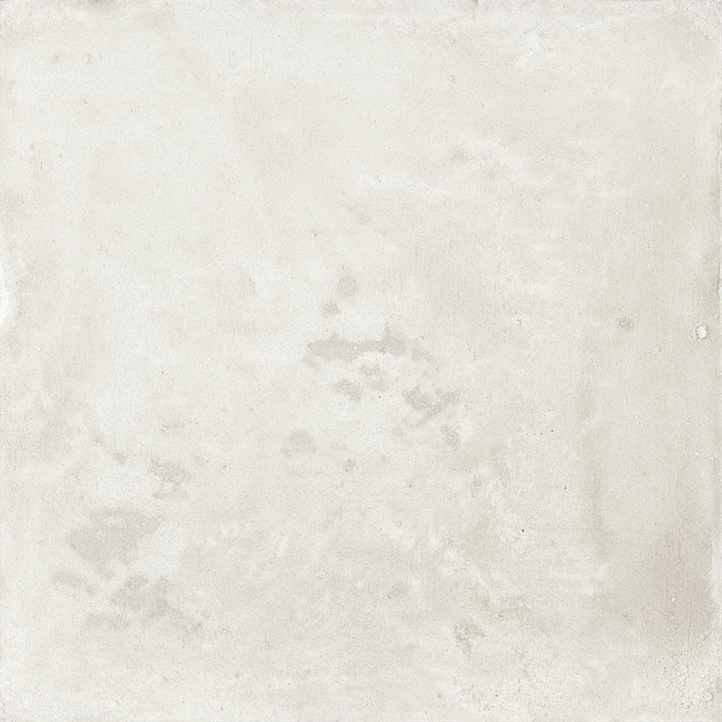 WOW017 Aqua Grey Gecko 11x11 - Swatch 5.png