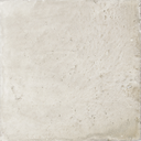 WOW017 Aqua Grey Gecko 11x11 - Swatch 6.png