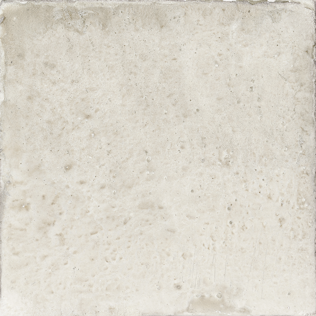 WOW017 Aqua Grey Gecko 11x11 - Swatch 8.png