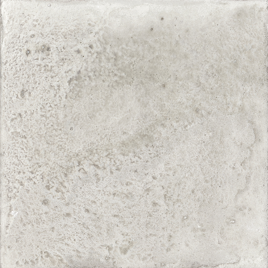 WOW017 Aqua Grey Gecko 11x11 - Swatch 9.png