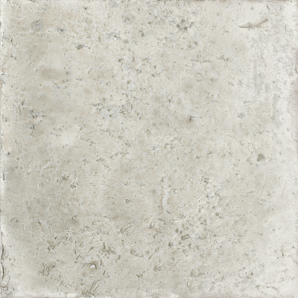 WOW017 Aqua Grey Gecko 11x11 - Swatch 10.png