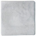 WOW017 Aqua Grey Gecko 11x11 - Swatch 11.png