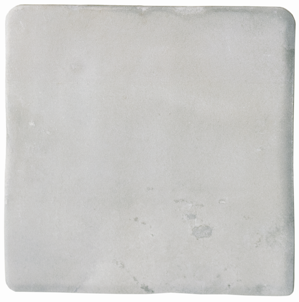 WOW017 Aqua Grey Gecko 11x11 - Swatch 13.png