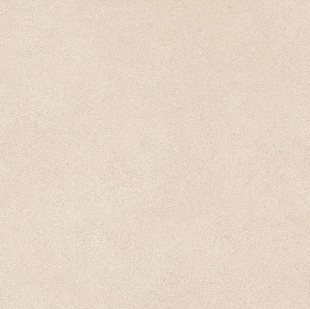 ATC283 - Boost Natural Kaolin Matt 60 - swatch 1.jpg