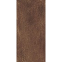 LEA143 Concreto Rust Matt 60x120  - Swatch 1.jpg