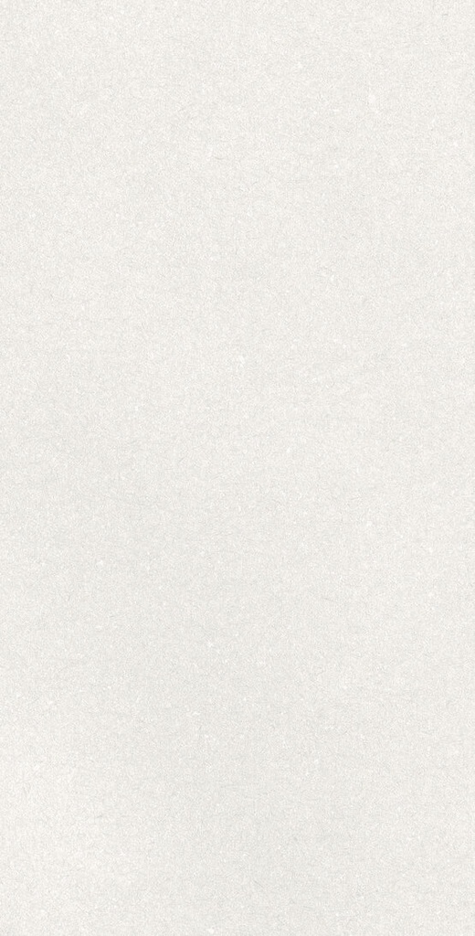 A042731 - APE CAPRICE WHITE WALL TILE 60X120cm -  Swatch 1.jpg