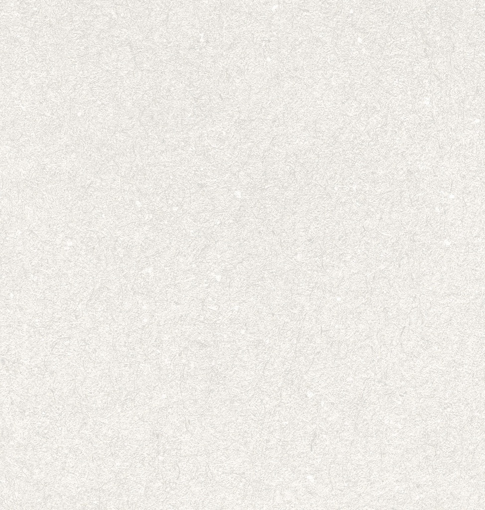 A042731 - APE CAPRICE WHITE WALL TILE 60X120cm - Swatch 2.jpg