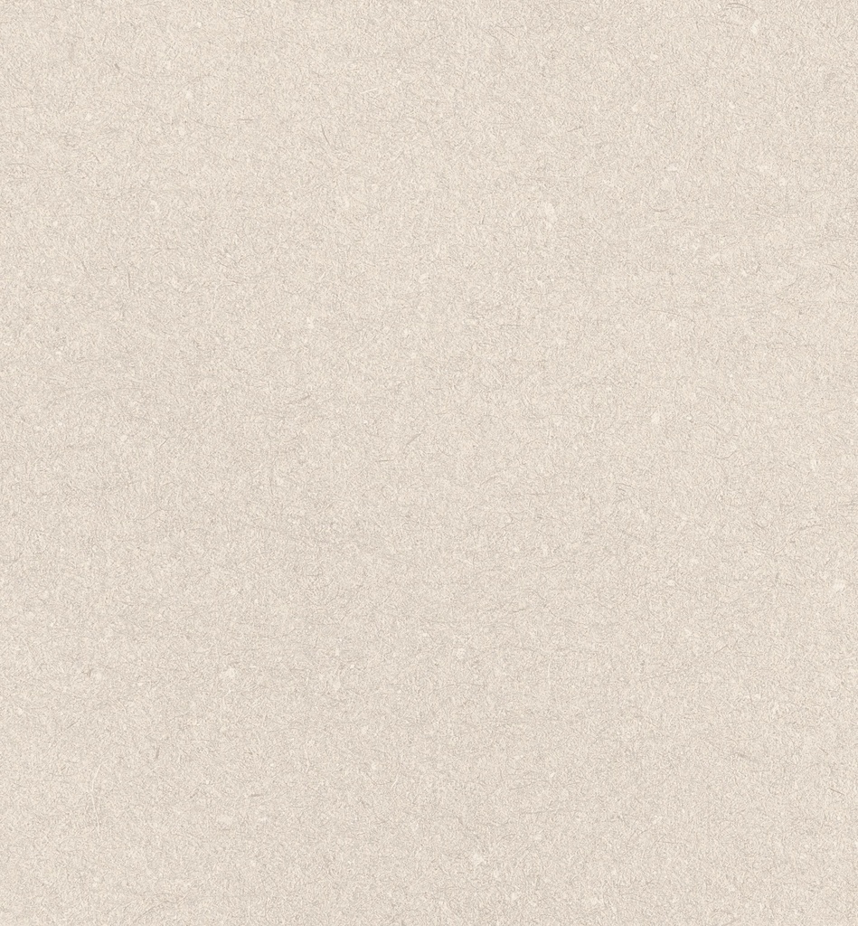 A042733 - APE CAPRICE ALMOND WALL TILE 60X120cm - Swatch 2.jpg