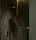 COTSBLA - Cotswolds Black Matt 75×300 - Bathroom.jpg