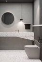 MT2206 Terrazzo Mix Gecko 60 - Bathroom 2.jpg