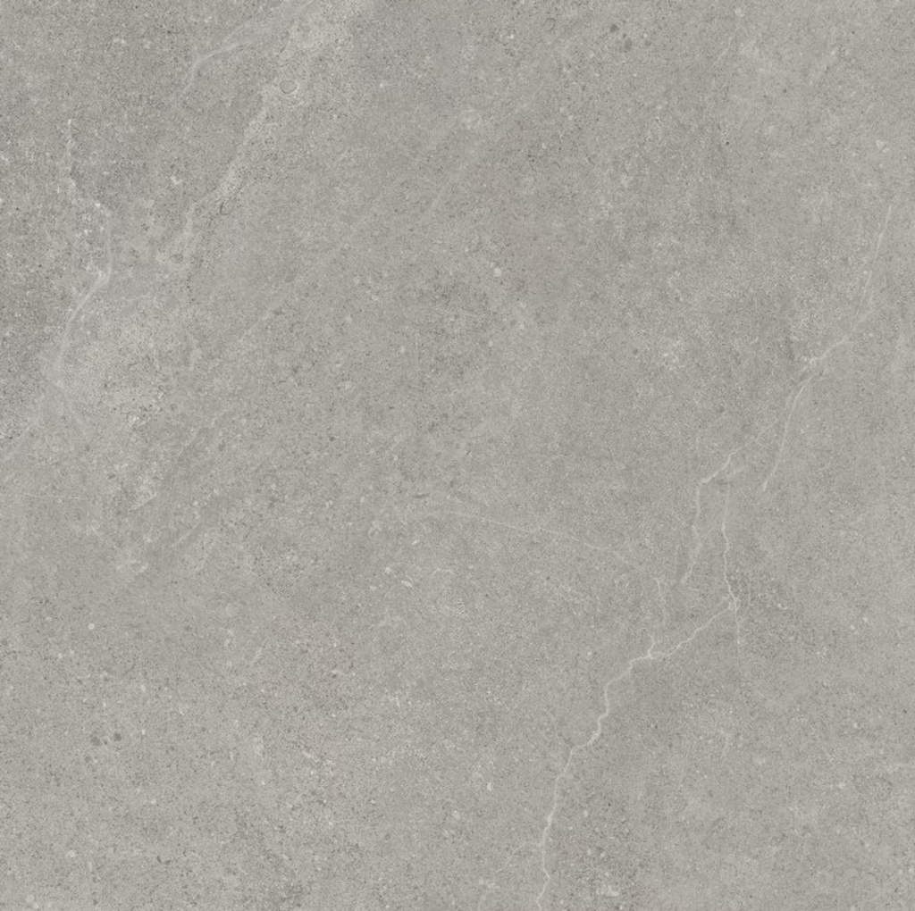 MT2040 Magic Stone Grey Gecko 60 - Swatch 2.jpg