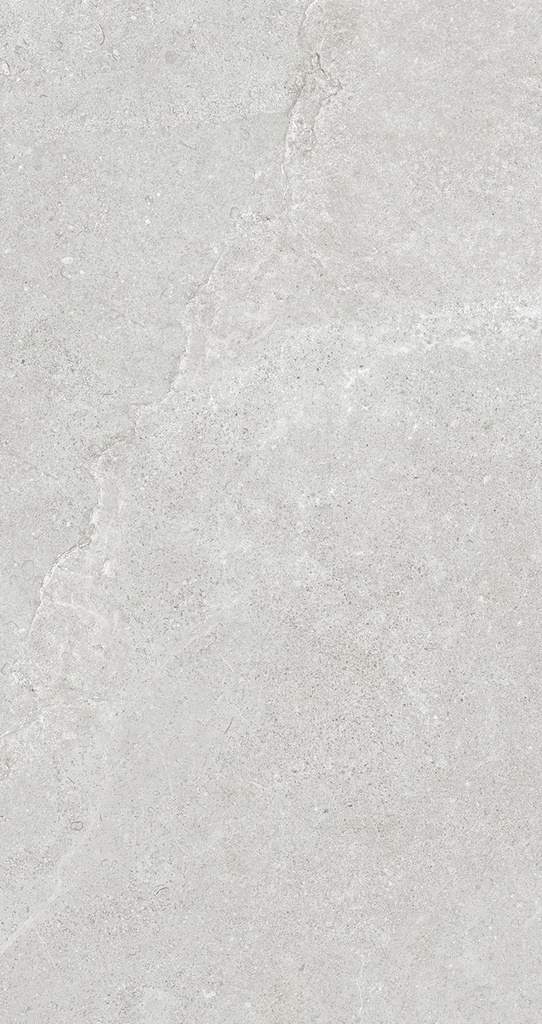 MT2082 Magic Stone White Gecko 30x60 - Swatch 5.jpg