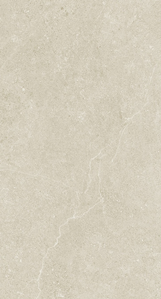MT2083 Magic Stone Sand Gecko 30x60 - Swatch 2.jpg