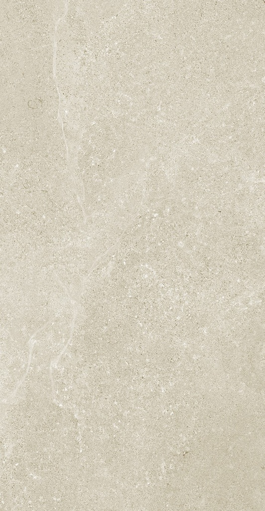 MT2083 Magic Stone Sand Gecko 30x60 - Swatch 4.jpg
