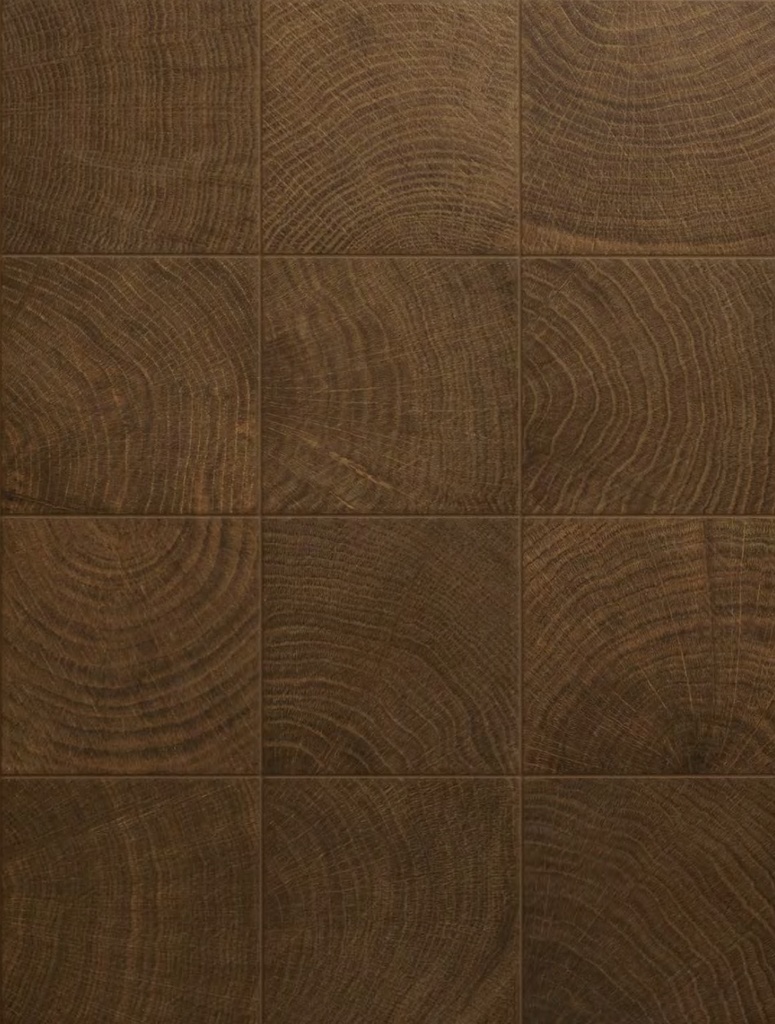 PRO411A - W-Circles Wenge Natural 100x100 - Layout.jpg