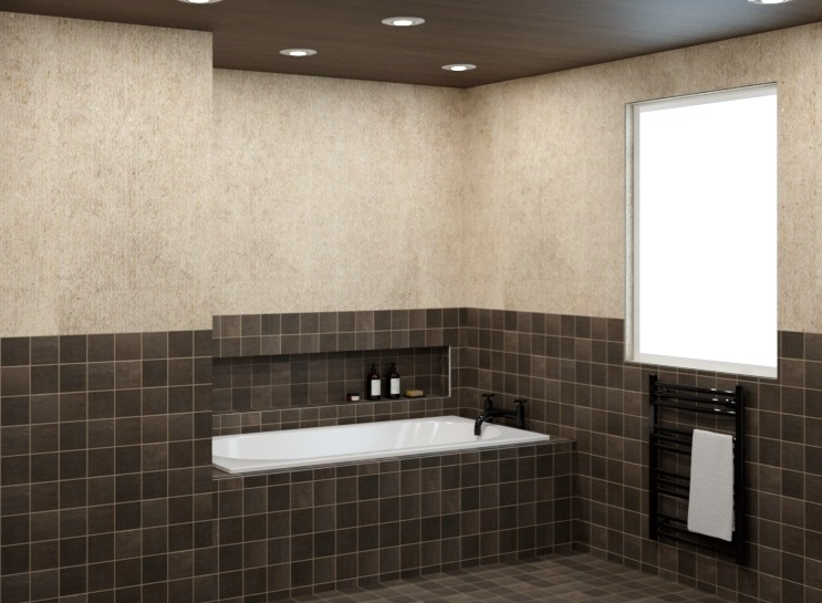 EQU141 Stage Brown Matt 10 - Bathroom 3.png