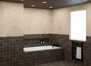 EQU141 Stage Brown Matt 10 - Bathroom 3.png