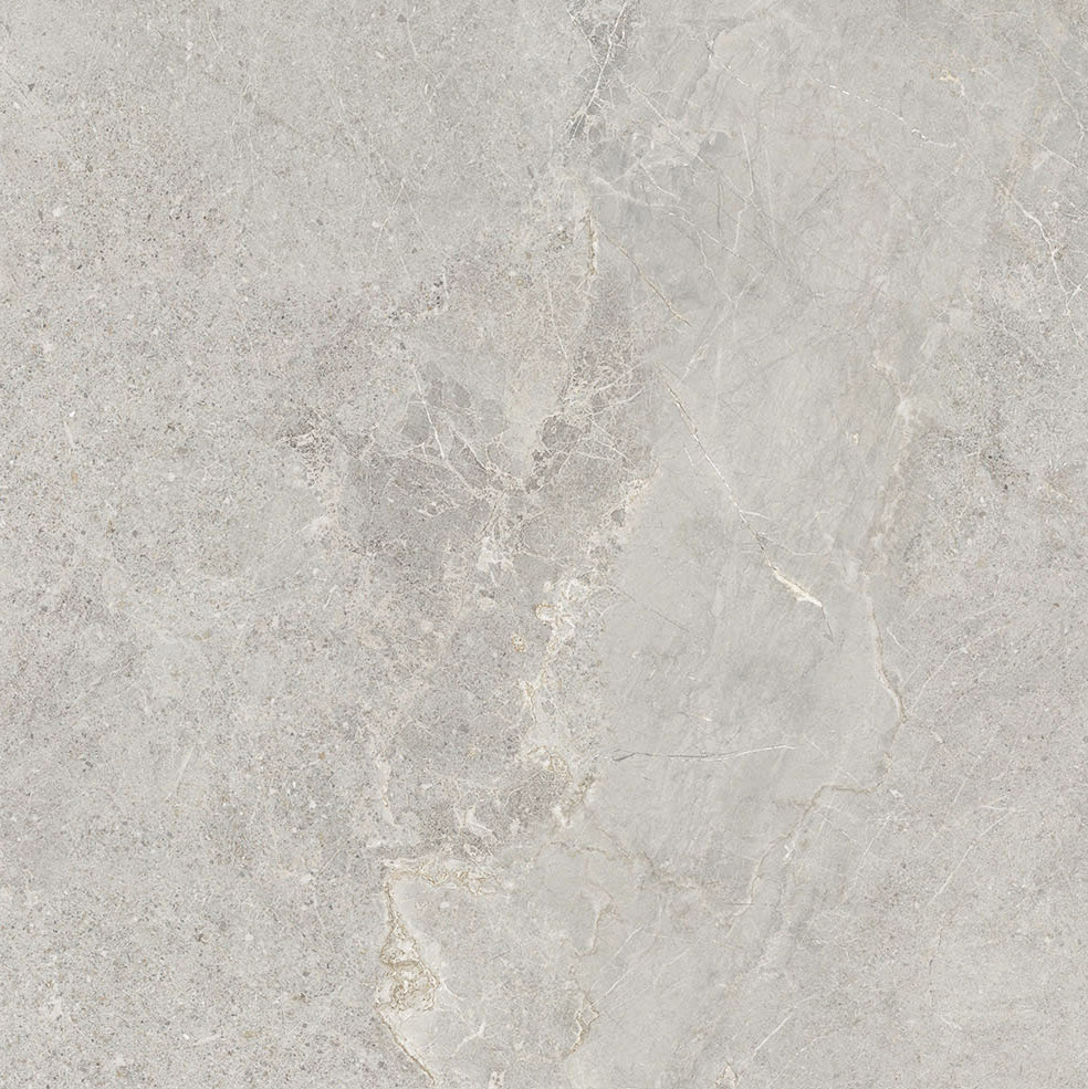 ANTHGRE60 - Anthology Grey Matt 600x600mm - Swatch 1.jpg