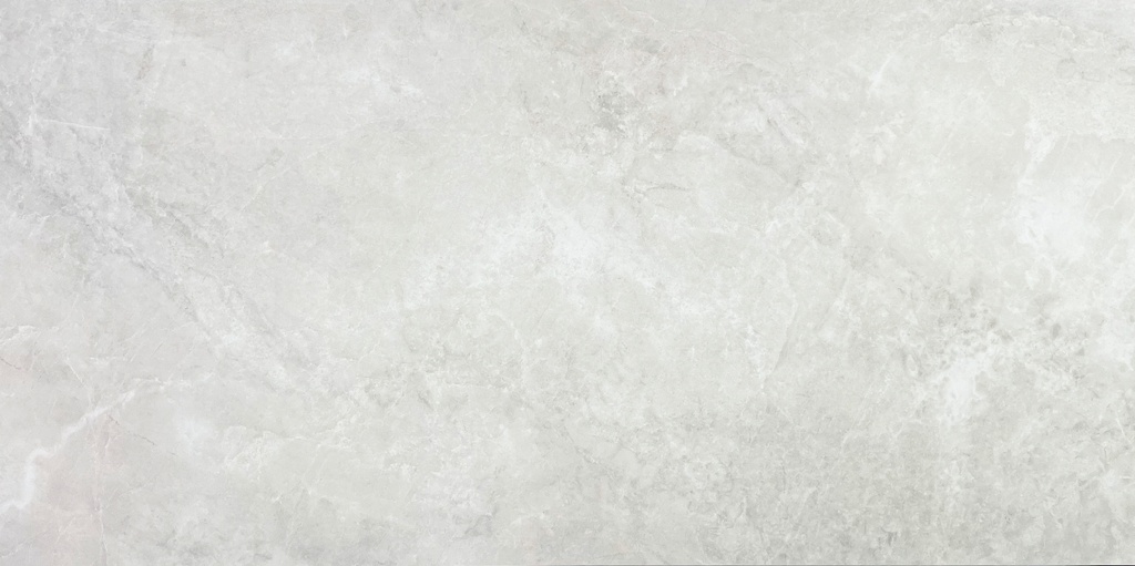 Evoke_White_Natural_60X120 - Evoke White Natural 60X120 - Swatch .jpg
