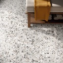 CER124A - Neoclassica Lunaria 600 x 600 mm - Floor.jpg