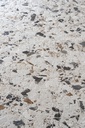 CER124A - Neoclassica Lunaria 600 x 600 mm - Close up.jpg