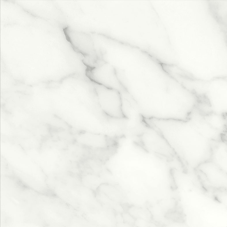 AMICAL20 - Amici Calacatta 200x200mm - Swatch 2.jpg