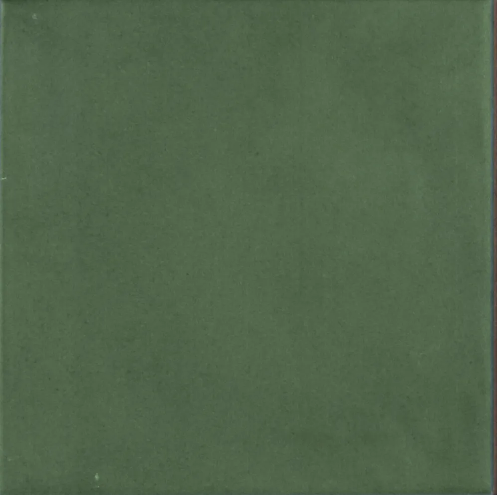 TTESCONFOR - CONTEMPORARY FOREST TILE 15X15 - Swatch 1.webp