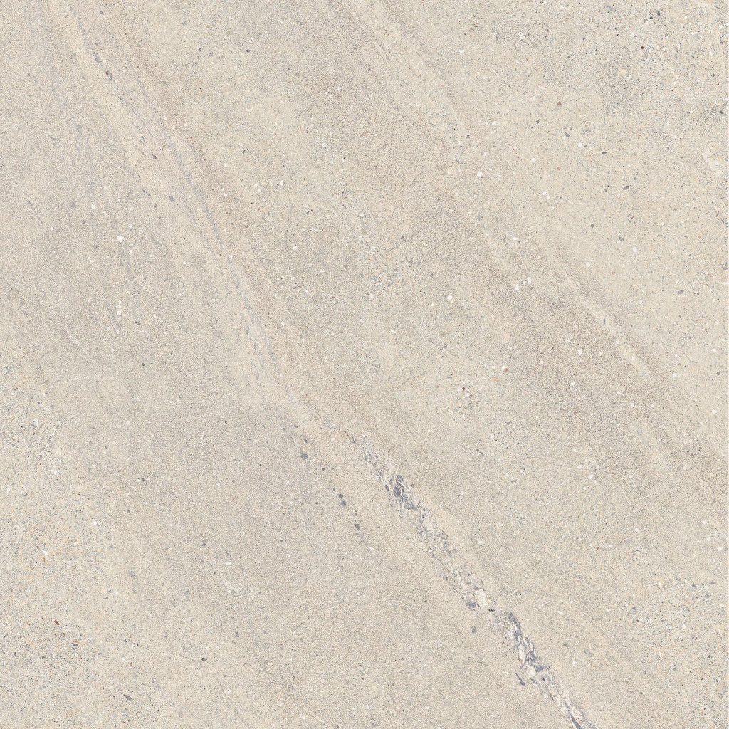 FLA019 Rockin Desert Matt 60 - Swatch.jpg