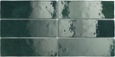 EQU057 Artisan Moss Green Gloss 6.5x20 - swatch.jpg