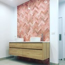 EQU055 bathroom1__Artisan Rose Mallow Gloss 6.5x20.jpg