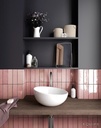 EQU055 bathroom3__Artisan Rose Mallow Gloss 6.5x20.jpg