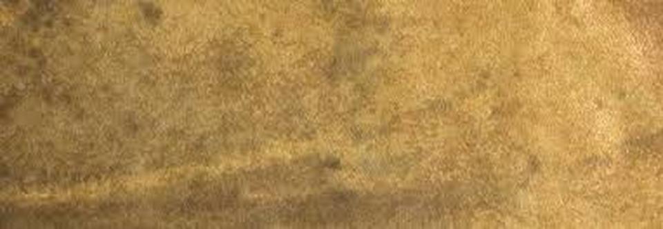 EQU063 swatch__Artisan Antique Gold 6.5x20.jpg