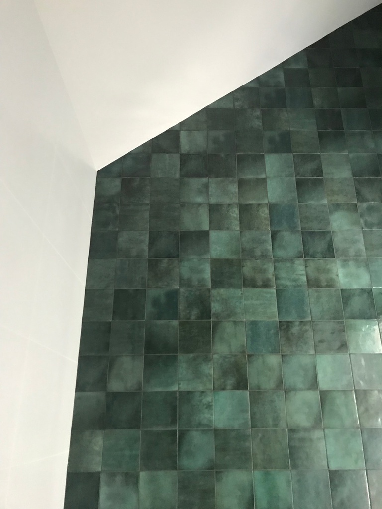 EQU064 Artisan Moss Green Gloss 13.2. - Wall.jpg